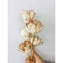 Vanchai Almond Sola Flower (5pcs), 4 image