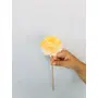 Vanchai Yellow Ombrey Zinnia Sola Flower (5pcs), 2 image