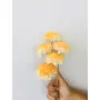 Vanchai Yellow Ombrey Zinnia Sola Flower (5pcs), 3 image