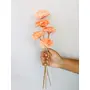 Vanchai Ombre Peach Sola Flower (5pcs), 3 image