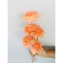 Vanchai Ombre Peach Sola Flower (5pcs), 2 image