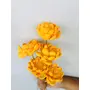 Vanchai Marigold Yellow Sola Flower (5pcs), 2 image