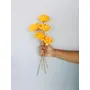 Vanchai Marigold Yellow Sola Flower (5pcs), 3 image