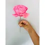 Vanchai Damask Pink Sola Flower (5pcs), 2 image