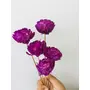 Vanchai Ombre Mauve Sola Flower (5pcs), 3 image
