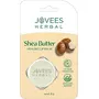 JOVEES Shea Butter Healing Lipbalm-8 g