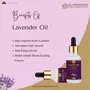 AL MASNOON Lavender Oil For Skin Body Massage & Hair 30ml (pack of 1)/ with coconut extra virgin oil, 5 image