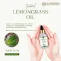 AL MASNOON Lemongarss oil for skin hair & body massage 30 ml (pack of 1)/ with extra virgin coconut oil 100% natural, 4 image