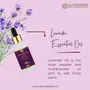 AL MASNOON Lavender Oil For Skin Body Massage & Hair 30ml (pack of 1)/ with coconut extra virgin oil, 4 image