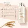 The Face Shop Rice & Ceramide Moisturizing Face Toner Enriched With Rice Extracts To Brighten The Skin | Suits All Skin Types |Hydrating Face Toner For Glowing Skin Korean Skin Care products150ml, 5 image