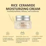 The Face Shop Rice & Ceramide Moisturizing Cream with Rice Extracts for brightening and Moisturizing |Moisturizing Face Cream for All Skin Types |Face Cream for brightening and strengthening the skin barrier |Paraben and Paraffins Free Korean skin care pr, 3 image