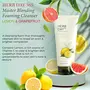 The Face Shop Herb Day 365 Cleansing Foam Lemon & Grapefruit ml with lemon extracts SLS and 170 millilitre, 3 image