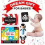 Einstein Box Rattle Gift Set for Newborns and of Age 1-3-6-9-12 Months | High Contrast Gift Set with Set of Rattles+ High Contrast Books+ High Contrast Flashcards| for Boys & Girls, 7 image