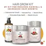 The Tribe Concepts Hair Grow Kit for Hairfall and Hair Growth 100% Chemical Free & Natural, 2 image