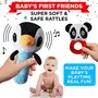 Einstein Box Rattle Gift Set for Newborns and of Age 1-3-6-9-12 Months | High Contrast Gift Set with Set of Rattles+ High Contrast Books+ High Contrast Flashcards| for Boys & Girls, 4 image