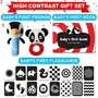 Einstein Box Rattle Gift Set for Newborns and of Age 1-3-6-9-12 Months | High Contrast Gift Set with Set of Rattles+ High Contrast Books+ High Contrast Flashcards| for Boys & Girls, 3 image