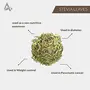 Desi Jadi Buti Stevia Leaves | Madhu Tulsi | Mithi Tulsi | Stivia Leaves | Stevia Rebana(50 Gram), 2 image