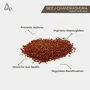 Desi Jadi Buti Halim Seeds - Garden Cress Seeds | Aliv Seeds For Eating | Protein Rich Garden Cress Seeds | Superfood | Haleem Seeds | Asaliya Seed(100 Gram), 2 image