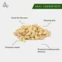 Desi Jadi Buti Natural Premium Whole Cashews | Crunchy Cashew | Kaju | Kaaju | Cashew Nuts | Nutritious & Delicious | & Plant based Protein (900 g), 2 image