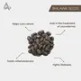 Desi Jadi Buti Bhilava| Bhalava Beej| Bhilawa Seeds| Oriental Cashew Nut(400 Gram), 2 image