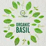 Geo-Fresh USDA Certified Organic Basil (20 g), 3 image