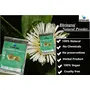 QYKKARE Bhringraj Powder for Hair and skin nourishment 300 GM (100gm x 3), 2 image