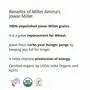 Millet Amma Unpolished Organic Jowar Millet Grains | 2 Kg ( 1kg x 2 Packs) | Great Healthy Breakfast and Diet Food | Helps for Management | Rich In Calcium ManganeseProtein Fibre and Copper, 7 image