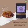 Millet Amma Organic Raisins (Dry Grapes) 250gm | Rich in Anti& Source of Vitamins Miner| Helps in Strengthening The Bones & ing | 100% Vegan & Free, 5 image