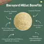 Millet Amma Organic Barnyard Millet | 1 Kg (500g x 2 Packs) | Unpolished Barnyard Millet Grains | 100% Vegan & | Rich in Protein & More Fiber Than Rice | Suitable for Multiple Recipes ( Upma  Khichdi ), 4 image