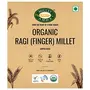 Millet Amma Unpolished Organic Ragi (Finger Millet) Grains | 2 Kg (1kg x 2 Packs) | (KelvaraguNachniRagulu) | Suitable for Multiple Millet Recipes ( Ragi Ladoo Roti  Dosa Idly ) | Rich in Calcium, 3 image