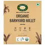 Millet Amma Unpolished Organic Barnyard Millet Grains| 1 Kg Pack | ( Udalu | Kodisama | Khira | Swank | Kuthiraivally ) | Rich in Fibre Than Rice & Dietary Fibre  High Protein  Free, 6 image