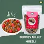 Millet Amma Muesli 300 Gms Pack | Coated with Berry & Maple Syrup | Best Choice for Organic Millet Snacks & Breakfast Cereal | Rich in Fiber, 4 image