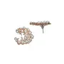 Priyaasi Studded Pearl Silver Rose Golden ColorEarring Set, 8 image