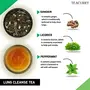TEACURRY Lungs Cleanse Tea Box - 30 Tea Bags | Anti Smoking Tea | Helps  and Clean Lungs | Helps in Lung | Helps in Smoking Cessation, 5 image