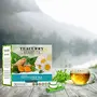 TEACURRY Fatty Tea (1 Month Pack | 30 Tea Bags) - Helps with Fatty , 9 image