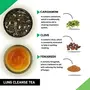 TEACURRY Lungs Cleanse Tea Box - 30 Tea Bags | Anti Smoking Tea | Helps  and Clean Lungs | Helps in Lung | Helps in Smoking Cessation, 9 image