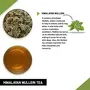 TEACURRY Mullein Tea (50 Grams 100 Cups) - Helps with  Lung and Easy Sleep - Australian Mullein Leafs, 5 image