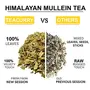 TEACURRY Mullein Tea (50 Grams 100 Cups) - Helps with  Lung and Easy Sleep - Australian Mullein Leafs, 8 image