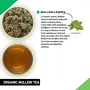 TEACURRY Organic Mullein Tea (25 Cups 50 Grams) - Helps in Lung and skin problems | Organic Mullein Leaf Tea Mullein Tea All Natural, 2 image