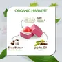 Organic Harvest k Tinted Lip Balm: Lily | Lip Balm for Women & Men | For All-round Lip Care | Lip Tint | Lip Balm Tint | Organic Lip Balm | 100% Certified Organic | Sulphate & 10gm, 8 image