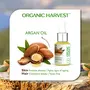Organic Harvest Organic Argan Oil | | For Dry Skin | Argan Oil for Face | 100% American Certified Organic | Sulphate & | 30ml, 8 image