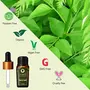 Organic Harvest Curry Leaf Essential Oil Protects Against Sun Damage Removes Acne & Wrinkles Face Hair Care Pure & Undiluted Therapeutic Grade Oil Excellent for Aromatherapy100% Organic Paraben & Sulphate Free 10 ml, 5 image