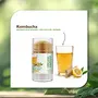 Organic Harvest Hydrating Stick : Kombucha | For Men & Women | Hyperpigmentation for Deep Face Cleansing | For All Skin Types | 30gm, 7 image