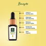 Organic Harvest Jasmine Essential Oil Prevents Dry & Itchy Scalp Calms Skin Hair Care Pure & Undiluted Therapeutic Grade Oil Excellent for Aromatherapy100% Organic Paraben & Sulphate Free 10 ml, 5 image