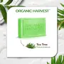 Organic Harvest Luxurious Bathing Bar: Tea Tree | Tea Tree Bar for Clear Skin | Tea Tree to Prevent Body Acne | 100% American Certified Organic | Sulphate & 125gm, 5 image