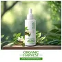 Organic Harvest Acne Control Mattifying Milk Serum: Green Tea & Moringa | For Men & Women | Acne Marks & Revitalize Skin | Suitable For All Skin Types - 50ml, 11 image