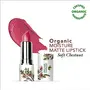 Organic Harvest Moisture Matte Lipstick - Soft Chestnut 4gm, 2 image