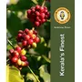LocoKerala - Western Ghats Coffee | American Roast | Medium Roast | Made with 100% Specialty AA+ Grade Arabica Beans | Freshly Roasted Coffee Beans (Whole Bean 250), 6 image