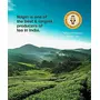 LocoKerala - Nilgiri Premium 15 White Tea bags | Plant-Based Fiber Pyramid Tea Bags | Single Origin Nilgiri Hills | Handpicked & Hand-Rolled | Immersive Flavor & Aroma | Limited Edition, 5 image