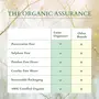 Lotus Organics+ Precious Brightening Under Eye Cream | With Cooling Massage Roller | s Puffiness & Dark Circles | Preservative Free | 15g, 6 image